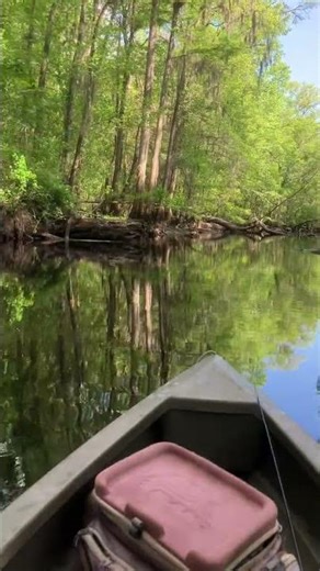 Little Pee Dee River’s Relaxing View
