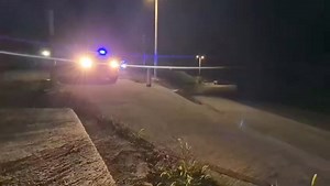 368K views · 9K reactions | Timovi HGSS-a iz Orebića, Šibenika i Dubrovnika idu na put pomoći svojim kolegama u Bosni i Hercegovini. Sa njima ide i preslatko pojačanje, potražni pas Zara. Sretno dobri ljudeki. ❤️ | Zagreb | Facebook