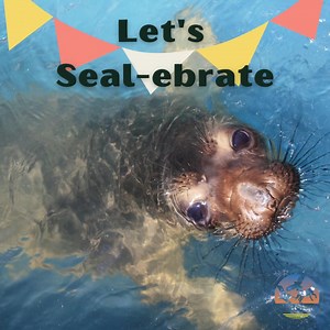 California Wildlife Center on Reels | Facebook