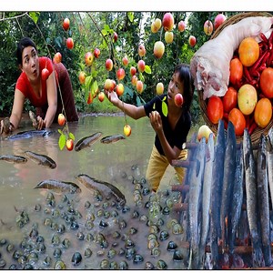 9.5K views · 145 reactions | Adventure in forest- Catch many fish &snail in flood forest- Cooking pick leg curry+ 3cooking videos | CHEF GIRL | Facebook