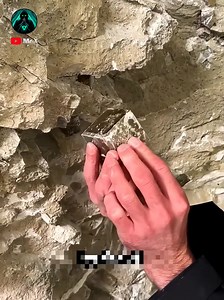 295K views · 6.9K reactions | Fake Gold biscuits..!! #shortsfeed #tamil #trending #viralvideo #history | Mrxofficiial | Facebook