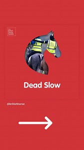 British Horse Society on Reels