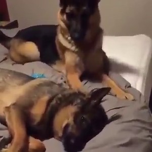 18K views · 502 reactions | Abends im Bett mit der Freundin... | Weil ich dich Liebe | Facebook