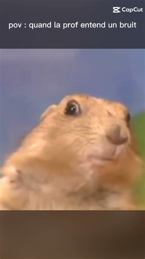 mdrr #drôle #humour