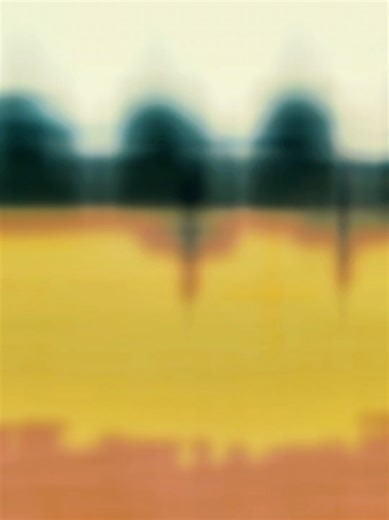 Matt Carley on TikTok