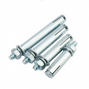 [Hot Item] Galvanized Manufacturers Supply Stainless Steel Expansion Anchor Bolt Screw