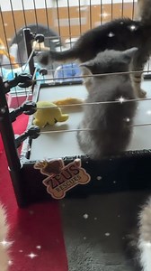 10K views · 116 reactions | After the great diarrhea incident of...