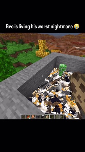 Bro is living his worst nightmare 😭🙏 #minecraft #minecraftmemes #minecraftviral #minecraftmeme #minecraftshorts #funnyminecraft #minecraftfunny | Clouzza