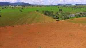 Parte 1: Plantio de inhame aumenta na região central do Estado