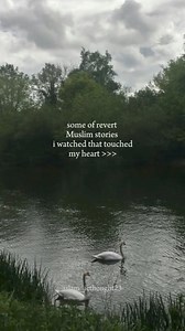 Some of revert Muslim stories ❤️🥹 | Revert To Islam