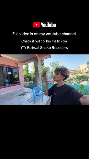 Contact us for snake rescue (9816482570-9848617164)@Butwal snake Rescuers 🐍 #akshayahoo #snakerescuer #fypp #foruyou #butwalmuser