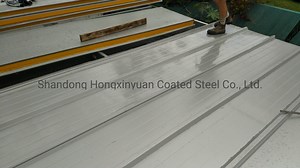 [Hot Item] Insulation Cold/Cool Room PU/PIR Sandwich Panel for Roofing/Wall/Ceiling Clading