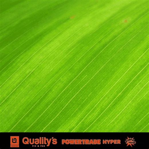 Savings Every Sunday at Quality’s Pik & Pak Visit us at 17 Josiah Gumede Road, Pinetown. Open all Sundays. Secured Parking available. | Quality’s Pik & Pak