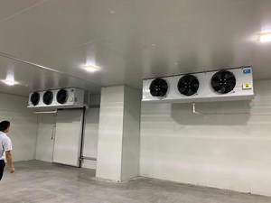 [Hot Item] Refrigeration Unit Cooling System Cold Room Vegetable Cold Storage Room