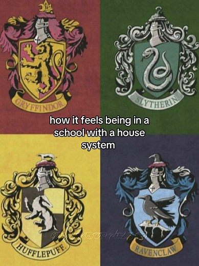 Loving My Slytherin Wife: A Schoolhouse Story