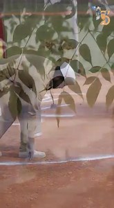 4.1K views · 816 reactions | True Master on Reels | Facebook