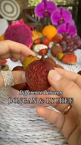 Longan and Lychee are two tropical fruits celebrated for their sweet flavour and impressive health benefits! 😋👏🏼 We deliver all over US 🇺🇸, right to your doorstep 🚪 1️⃣ Longan promotes healthy skin, improves digestion, and may reduce anxiety. 2️⃣ Lychee aids immune function, supports digestion with its fiber content, promotes skin health, and may have anti-inflammatory properties. Get your box now! 📦 🔗 Link in the bio ⬆️ #Lychee #Litchi #Longan #HealthyLiving #FruitLovers #Fruitarian #Fr