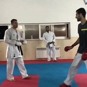 3.7K views · 113 reactions | Kumite Training | Karate Science | Facebook
