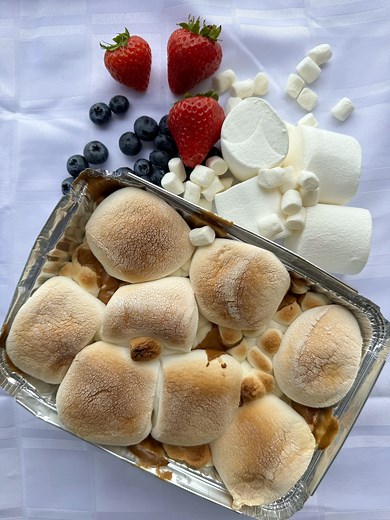 28K views · 142 reactions | Toaasted to perfection  @mira__nabulsi Ingredients list: ● 50g biscuits ● 100 grams of milk chocolate ● 35 grams of your favourite chocolate (I chose Maltesersand Reese’s Minis Milk Chocolate Peanut Butter Cups) ● ¼ cup of blueberries ● 8 large marshmallows ● ¾ cup mini marshmallows ● 6 tsp Lotus Biscoff spread (optional) | Flavour Network | Facebook