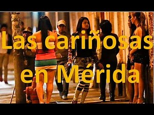 The affectionate ones in Mérida, Yucatán