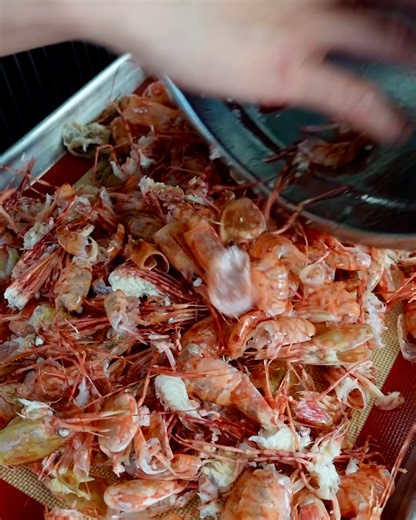 Prawn powder is great for all kinds of recipes 🦐👨‍🍳 | FOODbible