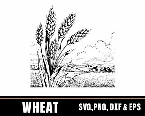 Wheat Silhouette Vector | Farm Grain Harvest Clipart (svg, Png, Dxf, Eps) - Etsy UK