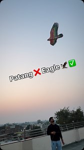 Patang ❌ Eagle ✅ #kiteflying #kite #kitelover #trending #viralreels | Somesh Thakre