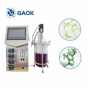 [Hot Item] Lab Chemicals Reactor 5L 20L 50L Glass Gacketed Reactor Bioreactor Fermentation Tank