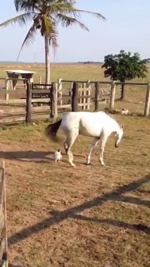 4.7K views · 22 reactions |  Giveaway Alert!  Apple products, home appliances, and more of the best Cebu has to offer could be YOURS at the Lamudi Property Fair Cebu 2024! Join us from August 16-18 at Robinsons Galleria Cebu for a chance to win incredible prizes!  Mudaog mo, busa kuyog – register for FREE here bit.ly/LPFCebuFreeRegistration  #LamudiPropertyFairCebu2024 #LPFCebu2024 | Lamudi | Facebook