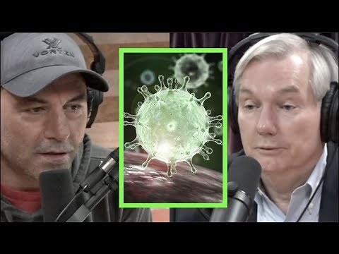 How Serious is the Coronavirus? Infectious Disease Expert Michael Osterholm Explains | Joe Rogan