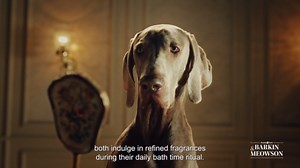 Barkin & Meowson Gentle Care Shampoo for Puppies & Kittens 350ml / 11.83 fl.oz - Oat Extract for Sensitive Skin, Pet-Friendly Scent