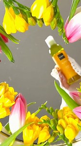 🌼Miroase a primăvară! Ai încercat noile arome NALA? #frezie #nalacosmetics #springcollection @corina.revnic | NALA Natural Cosmetics