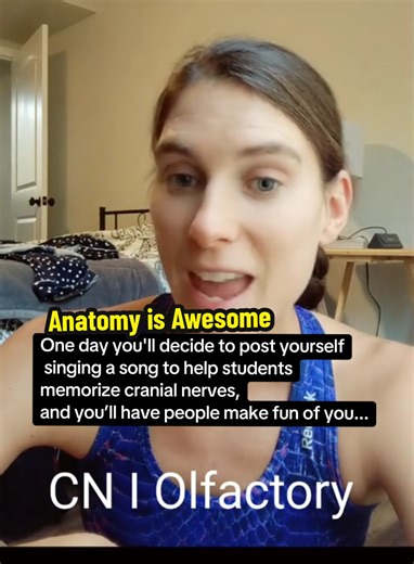 Passionate Anatomy Education and Learning Techniques