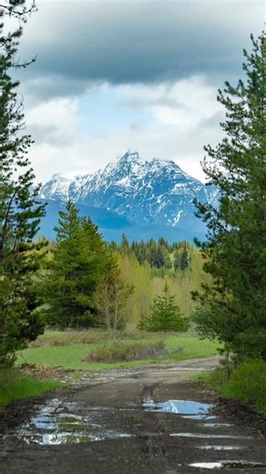 The perfect weekend 🏕️📸: @hunter_pauley #dmos #offroad #offroading #overlanding #unstuckyourself | DMOS Pro Shovel Tools