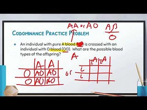 Biology: Video 7-2: Complex Inheritance Patterns
