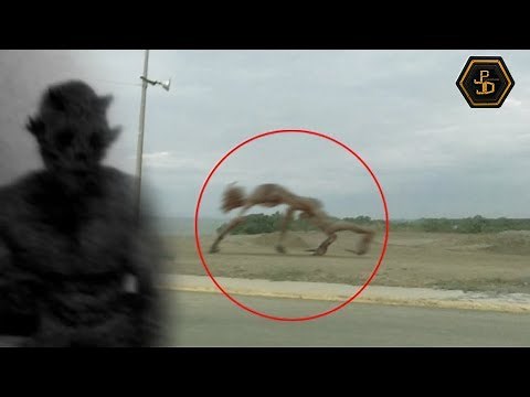 Top 5 Mysterious Creatures Caught on Camera 2019