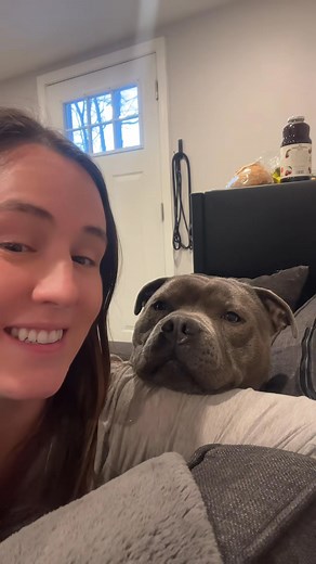 #staf #staffy #staffordshirebullterrier #fyp... | Anthony Peter