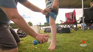 2.8K views · 15 reactions | South Australia’s hot and steamy summer has led to an explosion in mosquito numbers. University of South Australia experts say the blood-sucking insects are thriving in current weather conditions, putting us at greater risk of mosquito-borne disease. Details in 7NEWS Adelaide at 6pm on Channel 7 Adelaide | www.7NEWS.com.au #7NEWS | 7NEWS Adelaide | Facebook