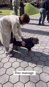 Lucky dog! Free massage from Sarah Geronimo. 🥰 AshMatt enjoying a stroll in the park while the sun is out. 😁 Have a great Sunday, Gs! Matteo Guidicelli 📹: Matteo Guidicelli [03.10.2024 US] #AshMatt #TheGs #SarahGeronimo #MatteoGuidicelli #MrAndMrsGuidicelli #MatteoG #SarahG #SarahGeronimoGuidicelli #SarahGuidicelli #AshMattForever #TheGuidicellis #MrsGuidicelli #MrGuidicelli #AshMattNowAndForever #AshMattInNYC #LifeWithTheGs #TravelAshMattAsYouCan | AshMatt International