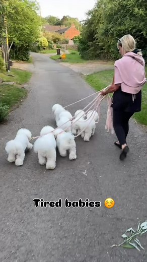 Debra Curtis on Reels