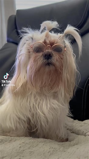 16 reactions · 5 comments | Excuse her hair but its a busy morning 藍....