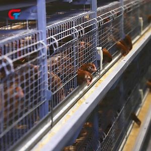 [Hot Item] Factory Direct Offer Automatic Feeding Battery Brooder Chicken Farming Cage