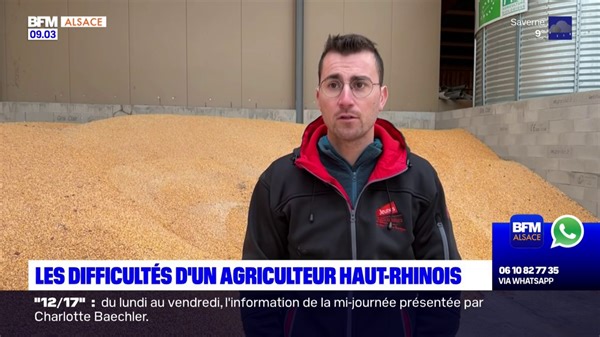 18 reactions · 19 shares | Haut-Rhin: rencontre avec un agriculteur en difficulté | BFM Alsace | Facebook
