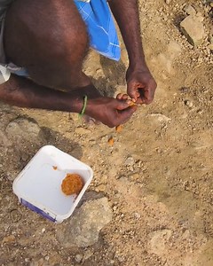 Catching tilapia fish by handline fishing method without a float. #fishing #tilapia #viralvideo #fishingvideos | Chennai Fishing Club