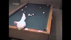 I can do this too! | Howtobasic US