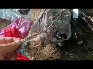 Dirty panties