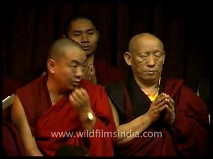Monks of Palpung Sherabling monastery praying for peace and liberation