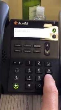 ShoreTel Volume and Dialing