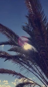 Уикендът започва от сряда. | CACAO BEACH