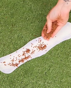 9K views · 12 reactions | ASTUCE pour l'entretien de votre jardin ! | Brico Madame | Facebook